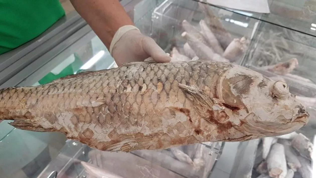 ANPC: Nereguli găsite la peştele de import, în hypermarket-urile din zona Bucureşti-Ilfov. 1,6 tone de marfă, oprite de la vânzare (FOTO, VIDEO)