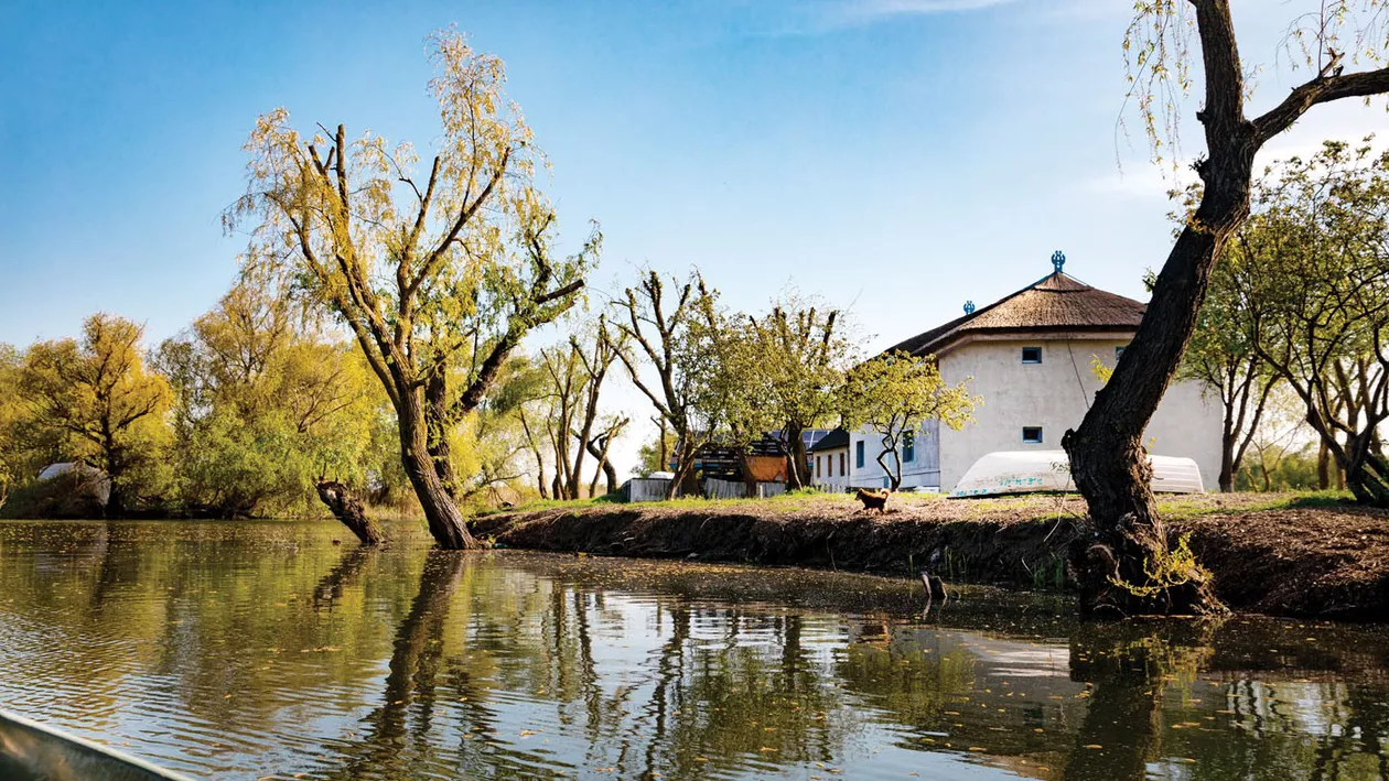 Insula Matița, din Delta Dunării, scoasă la licitație. Prețul de pornire este de sute de mii de euro