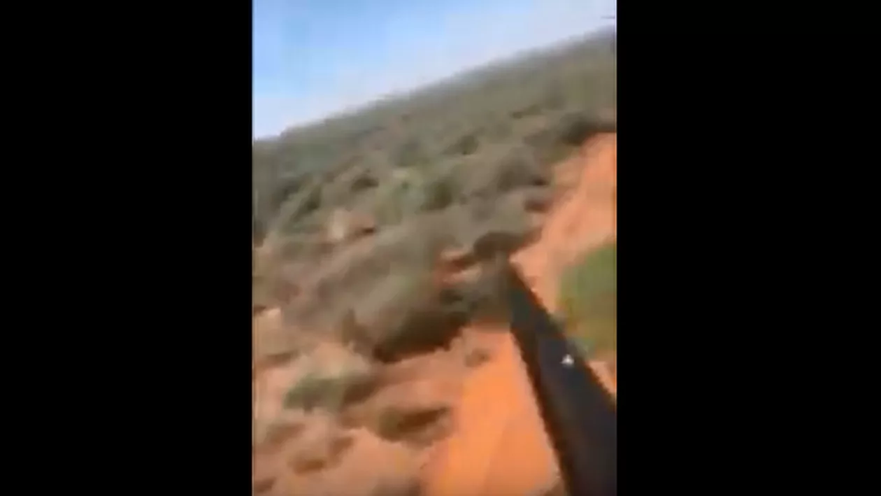 Un bărbat a căzut din elicopter în timp ce încerca să tranchilizeze un animal (VIDEO)