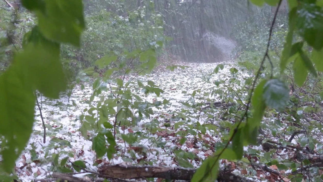 ALERTĂ METEO: 20 de județe sunt sub COD PORTOCALIU de PLOI TORENȚIALE! Vine POTOPUL!