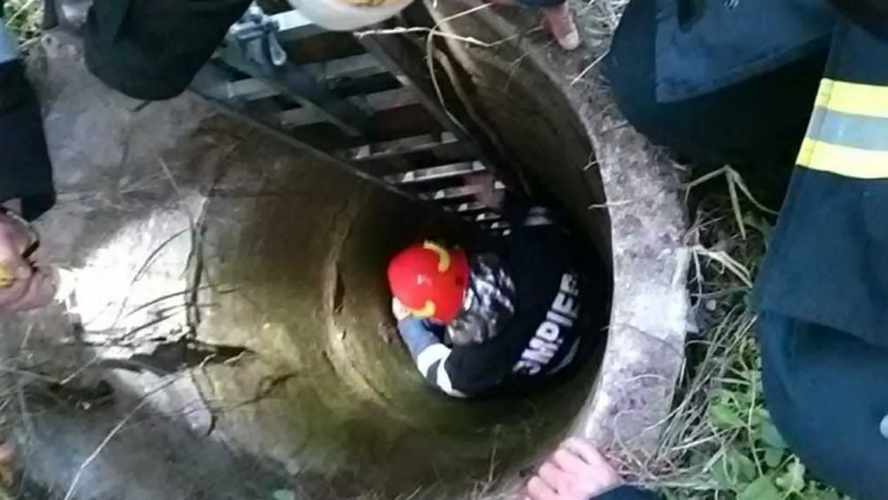 Caz HALUCINANT în Dolj! Un bărbat și-a ARUNCAT mama în fântână iar apoi a sărit și el