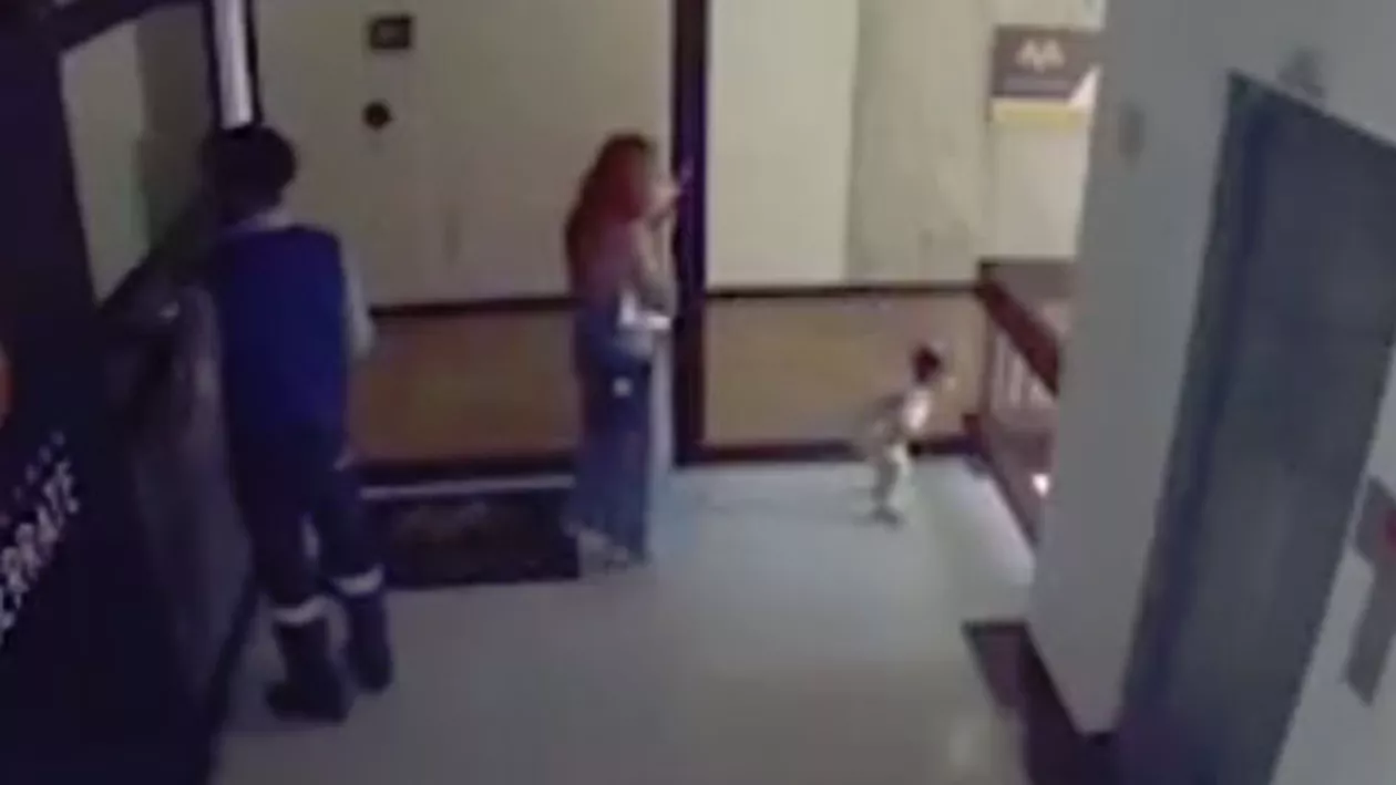 Reacția unei mame, când vede că fiul său cade de la etajul 4 (VIDEO)