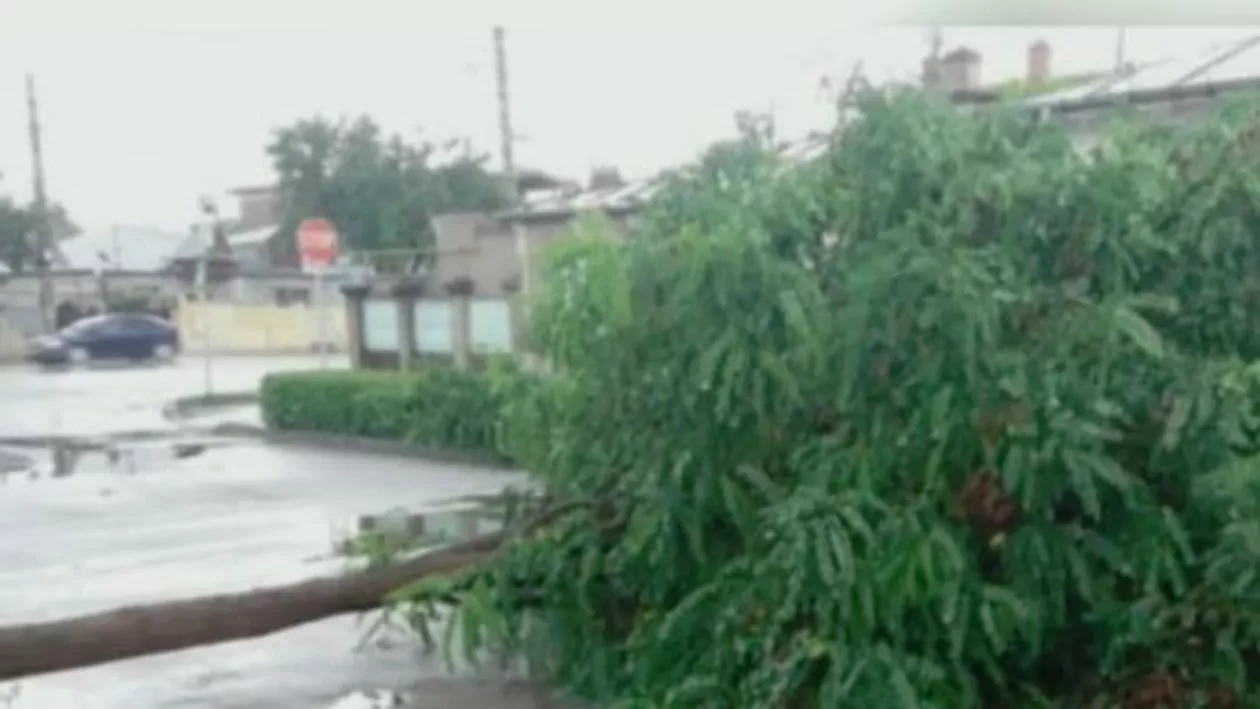 FURTUNA a făcut deja PRĂPĂD în București! Zeci de mașini avariate și copaci căzuți, pe străzile Capitalei