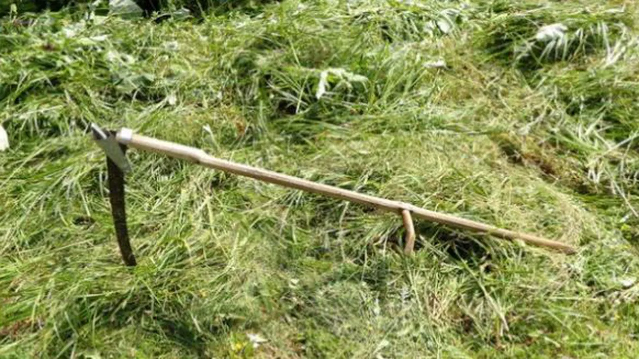 Un bărbat din Vaslui și-a omorât nevasta cu coasa. ''Se băteau care apucă, cine era mai treaz, îl ardea pe ălalalt''