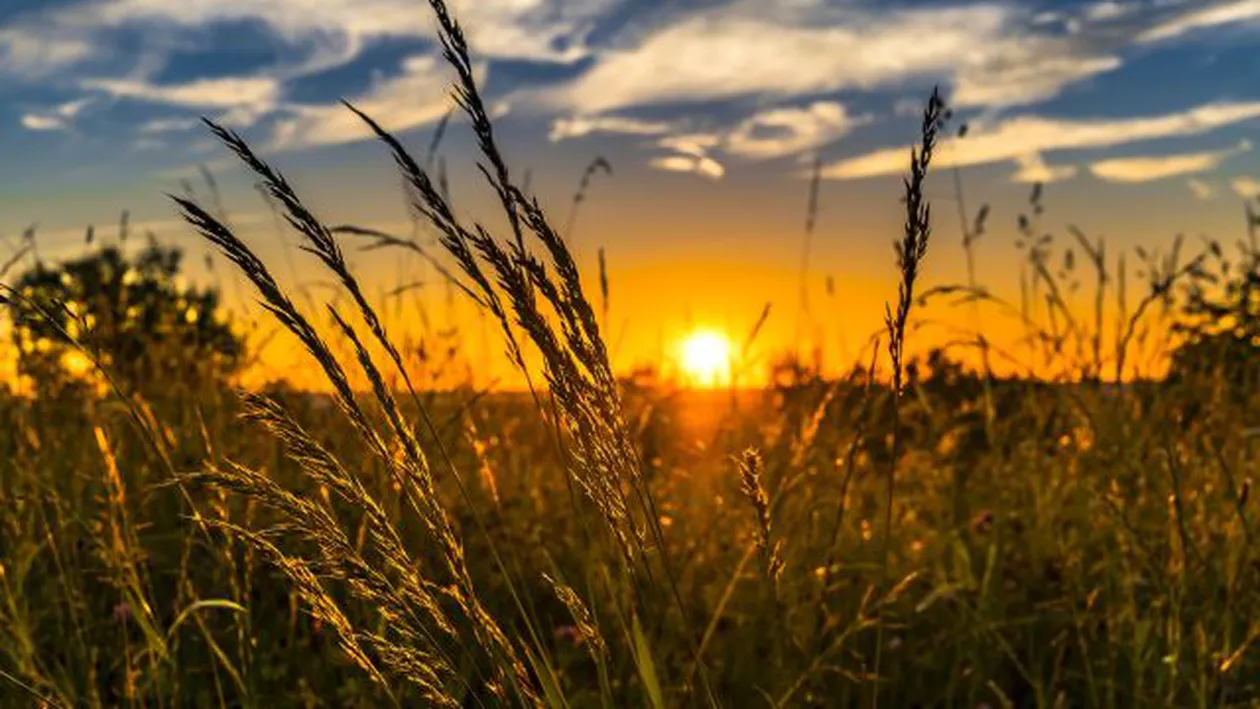 ”Câmpuri Vizuale”, primul concurs de fotografie inspirat de tema agriculturii: Competiția se află la prima ediție 