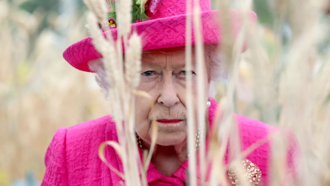 ALERTĂ la Palatul Buckingham! A INTRAT NOAPTEA PESTE Regina Elisabeta a II-a! E absolut ȘOCANT ce a putut să-i facă!