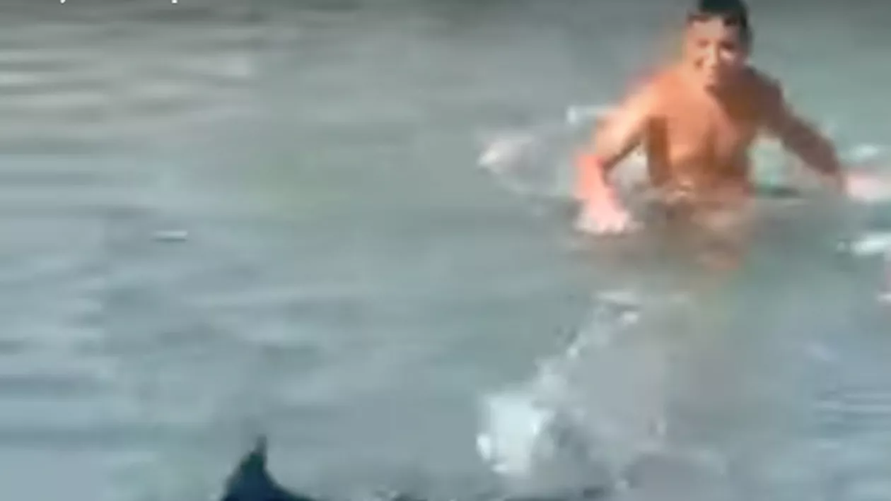 Grecii sunt revoltați! Petiție după ce mai mulți turiști au omorât cu pietre un pește-spadă (VIDEO)