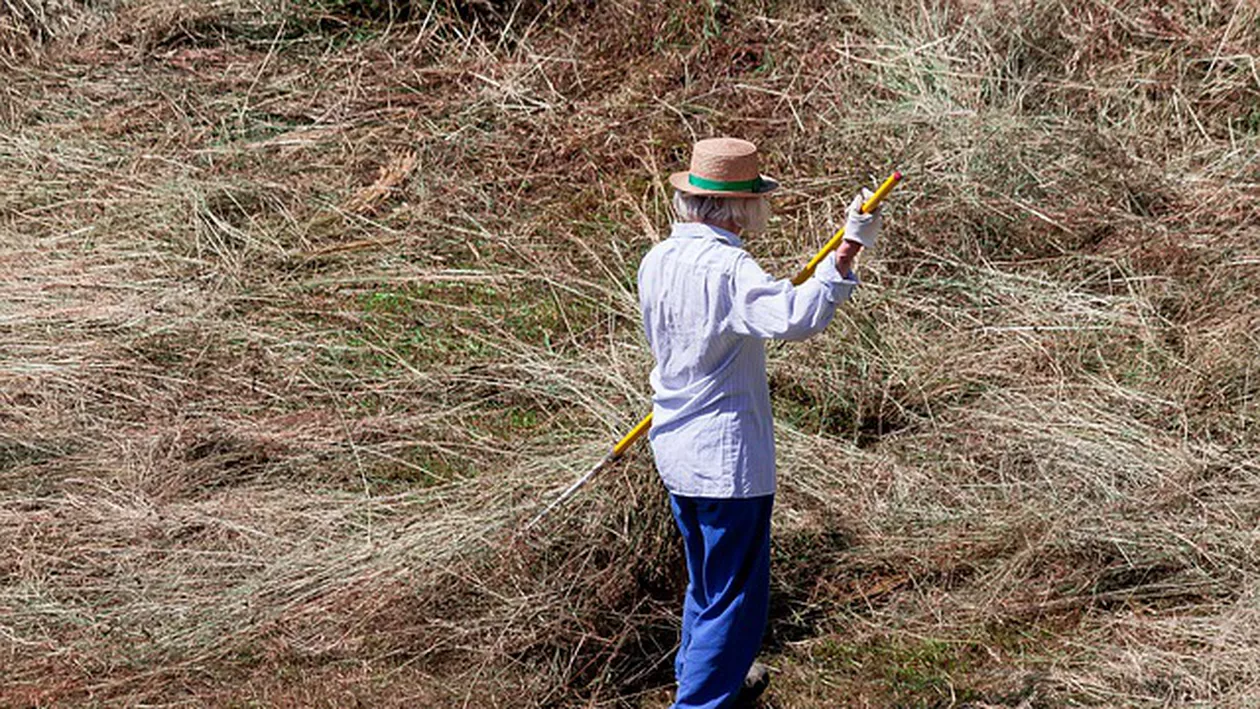 Marea Britanie vrea să micșoreze salariile pe care le încasează românii și alți est-europeni, după Brexit