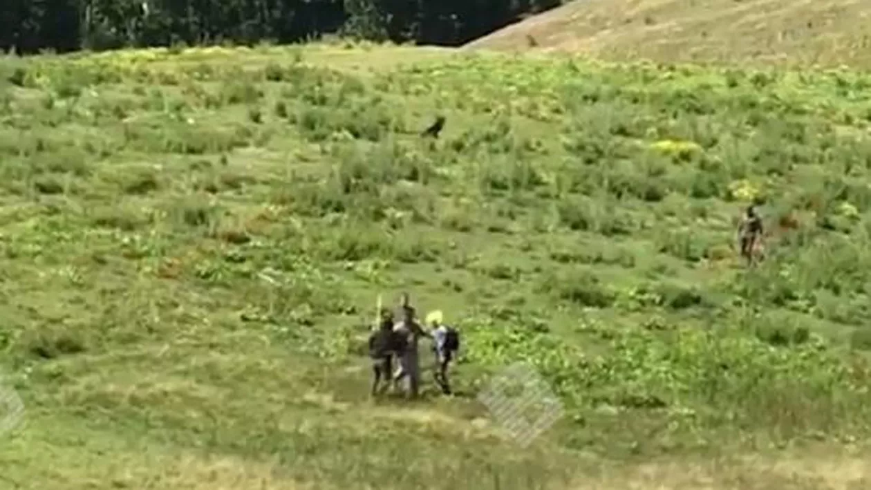 Un TURIST belgian, BĂTUT CRUNT de mai mulți CIOBANI din Colibița. Motivul e de-a dreptul uluitor (VIDEO)