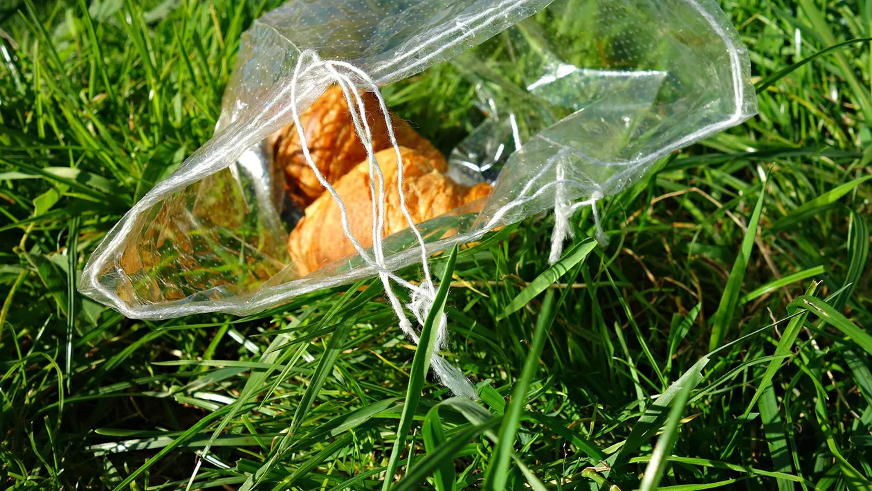 Acesta este primul stat din America Centrală care interzice pungile de plastic de unică folosință. Se alătură unui număr de peste 60 de țări