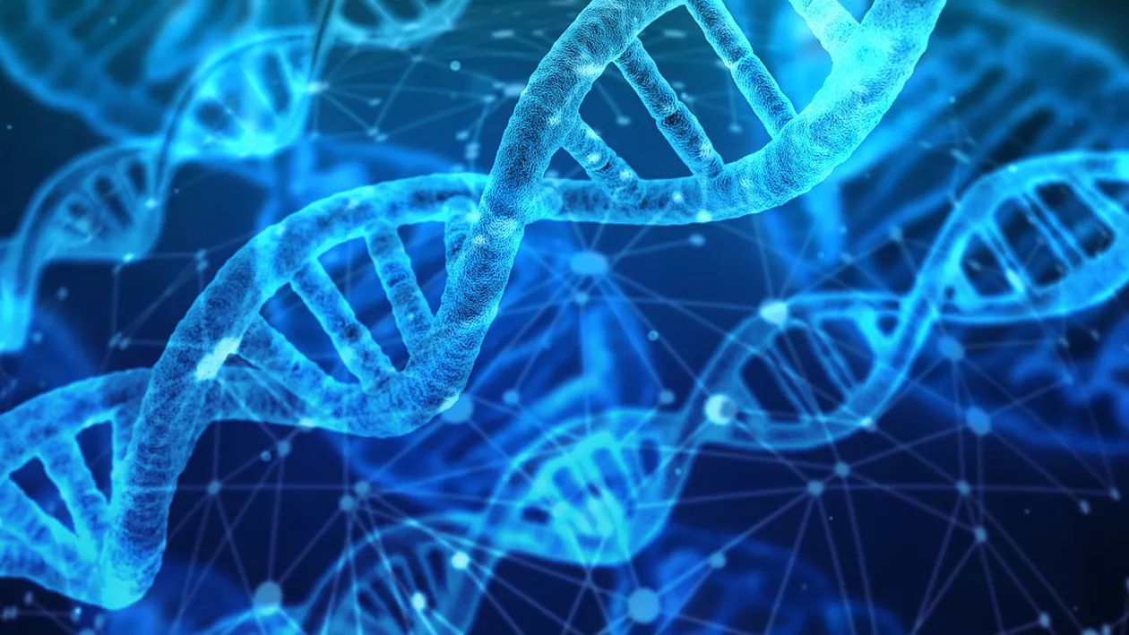 România, trei medialii la Olimpiada Internațională de Biologie: Elevii români s-au luptat cu peste 300 de tineri din 78 de țări