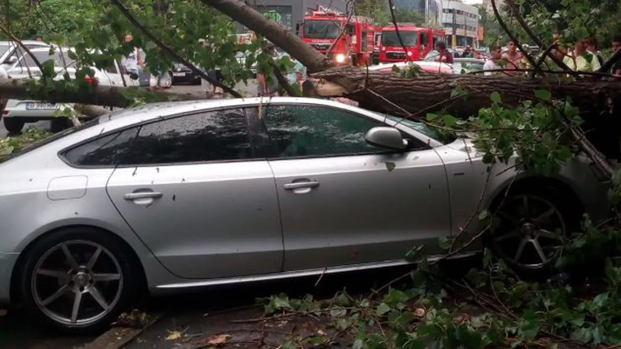 Vijeliile au făcut ravagii la Constanța: Acoperișuri smulse de vânt, copaci rupți și prăbușiți peste mașini (VIDEO)
