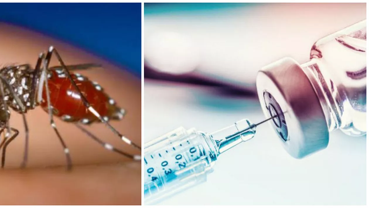 ALERTĂ SANITARĂ: Malarie în România! Anunțul făcut de medici în urmă cu puțin timp
