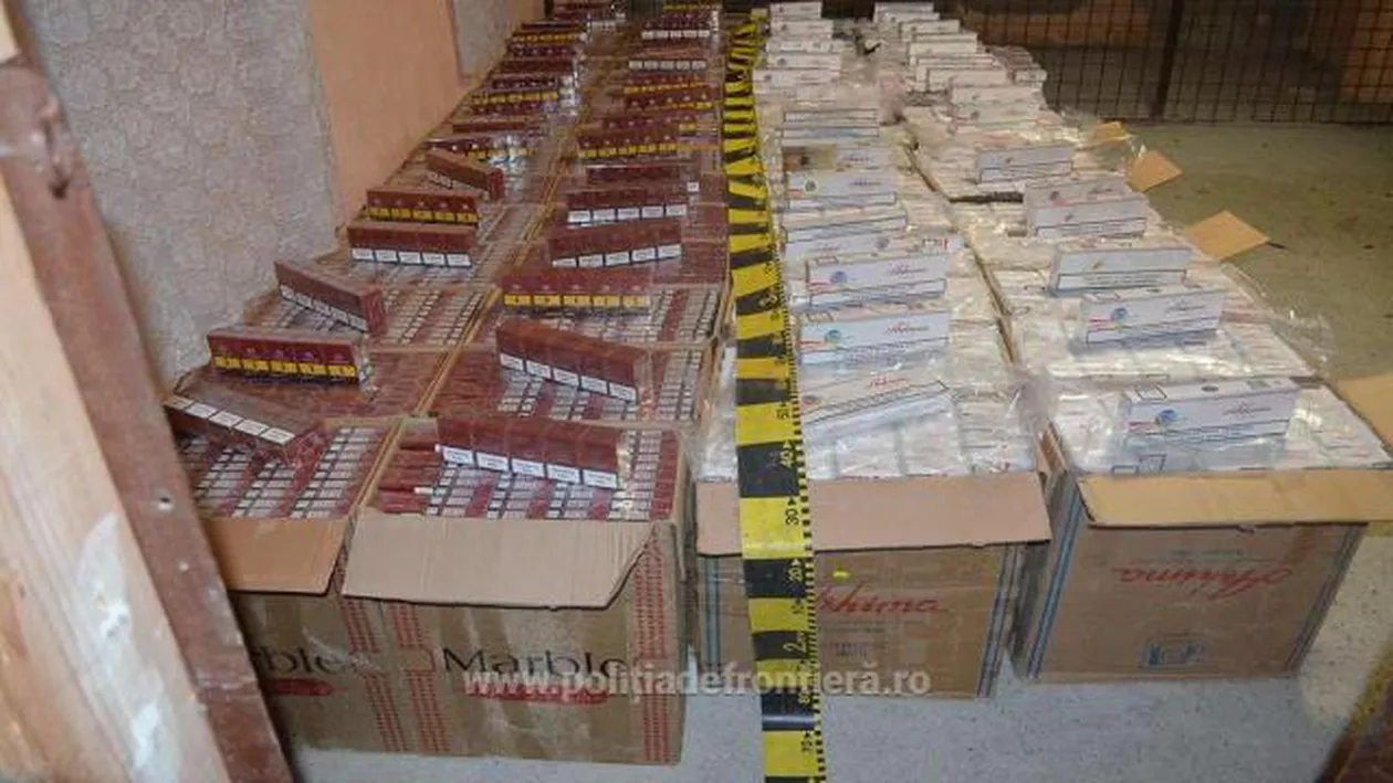 Captură uriașă pentru Polițiștii de Frontieră: Aproximativ 55.000 de pachete cu ţigări de provenienţă ucraineană au fost confiscate (VIDEO, FOTO)