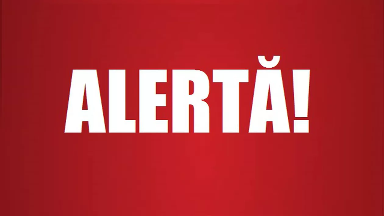 Stare de alertă în Timișoara! Poliția caută o fetiță de nouă ani, dispărută fără urmă