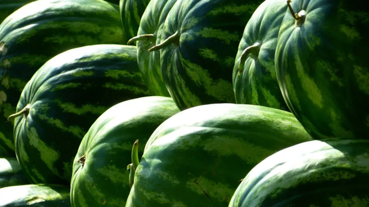 GENIAL! Ce banner a afișat un producător local pentru a-și convinge clienții că PEPENII pe care îi vinde sunt din DĂBULENI (FOTO)