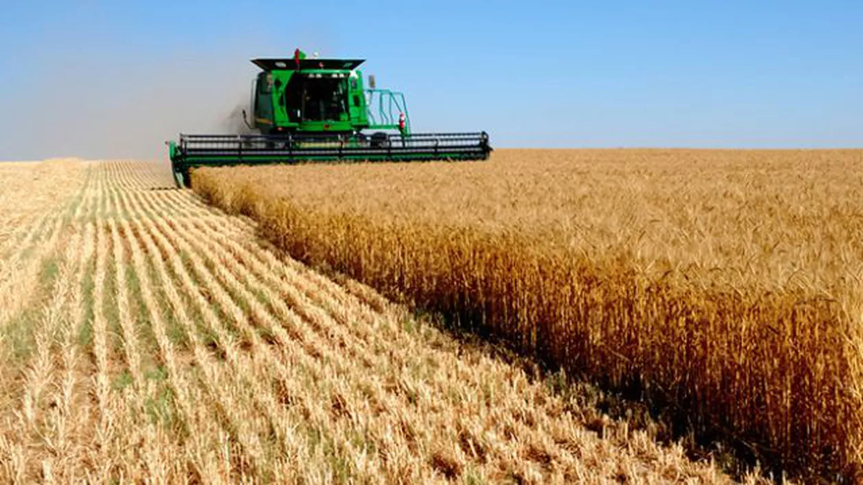 România, lider în UE la exportul de grâu