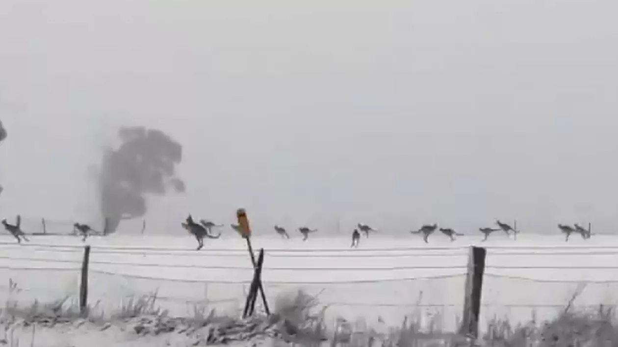 ALERTĂ METEO: O furtună de zăpadă a lovit în septembrie. Autoritățile, ÎN ALERTĂ. A fost declarată STARE DE URGENȚĂ (VIDEO)