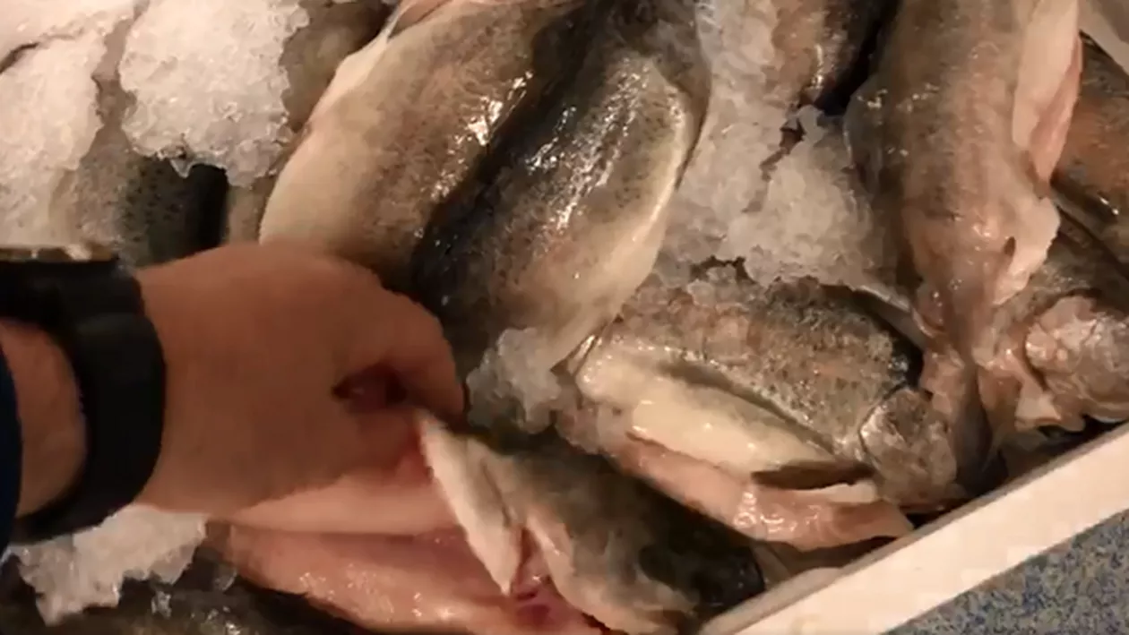 La ce trebuie să fim atenți când cumpărăm pește din supermarket: Ce diferențe există între gustul peștelui de acvacultură și cel oceanic