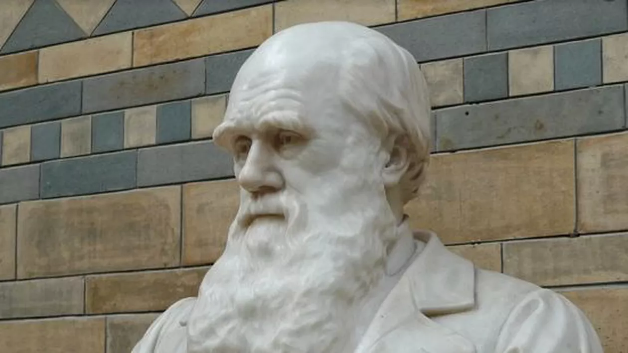 Darwin și islamul nu fac casă bună: Un iman a fost demis pentru că a încercat să împace teoria evoluției cu credința religioasă