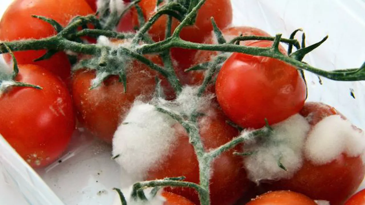 Nereguli grave la unul dintre cele mai frecventate mall-uri din Capitală: Ce au descoperit inspectorii de la Protecția Consumatorilor (VIDEO)