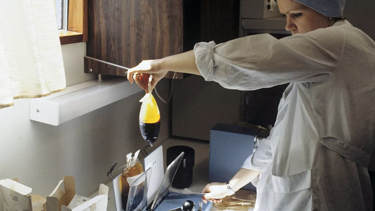 EXCLUSIV ONLINE // Sângele artificial, testat cu succes pe animale și în România: În lume s-au făcut teste și pe oameni, dar nici unul nu a dat rezultate mai bune decât folosirea sângelui normal pentru transfuzie