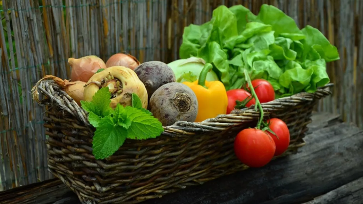 16 octombrie – Ziua mondială a alimentației. Cum arată comportamentul alimentar al românilor: Mâncăm prea multă pâine și prea puține fructe
