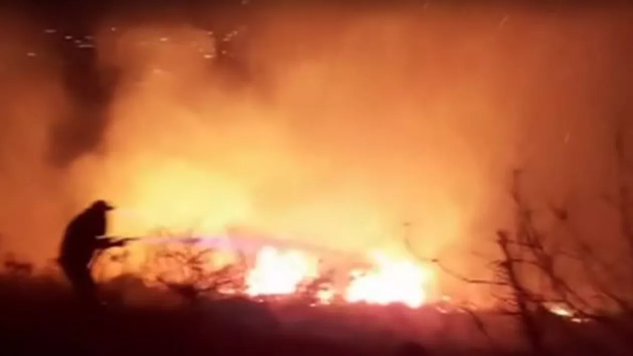 FOCUL FACE PRĂPĂD! Peste 100 de INCENDII devastează țara! Este cea mai mare TRAGEDIE din ultimii 10 ani, iar elicopterele speciale sunt DEFECTE! (VIDEO)