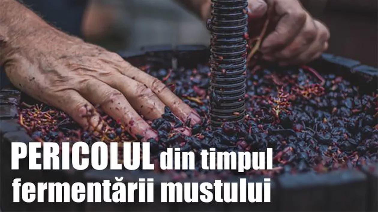 AVERTISMENT fără precedent! Ce spune IGSU despre fermentarea mustului