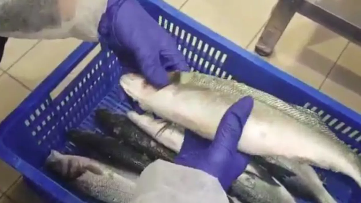 Controale ANPC la Carrefour: Două magazine ar putea fi închise. Aproape 1,5 tone de produse au fost retrase de la vânzare (VIDEO)