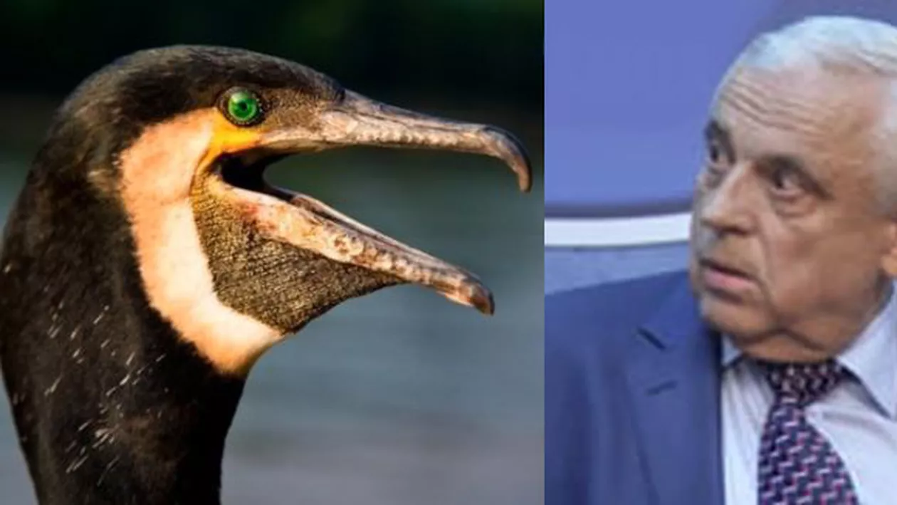 Petre Daea: Să dăm peştele românilor, nu să băgăm în guşa cormoranului! Trebuie intervenit rapid!