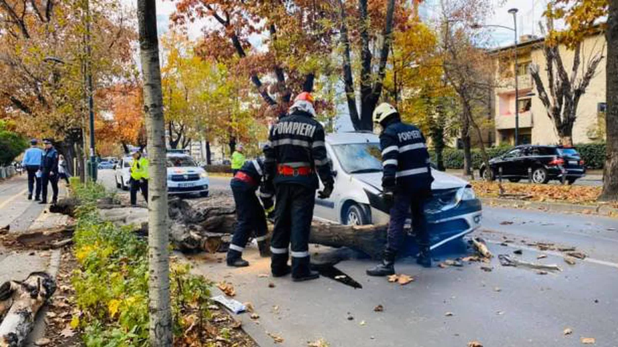 La un pas de TRAGEDIE în Capitală! Un copac s-a prăbuşit peste o maşină în mers (GALERIE FOTO)