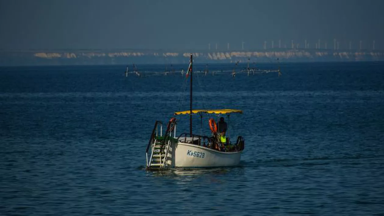 Cota de pescuit la calcan a României crește la 75 tone/an: Decizia luată la Sesiunea Anuală a Comisiei Generale pentru Pescuit în Mediterană și Marea Neagră