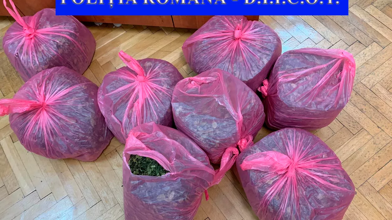 DROGURI de mare risc, introduse în țară prin intermediul SERVICIILOR POȘTALE. DIICOT a deschins în forță