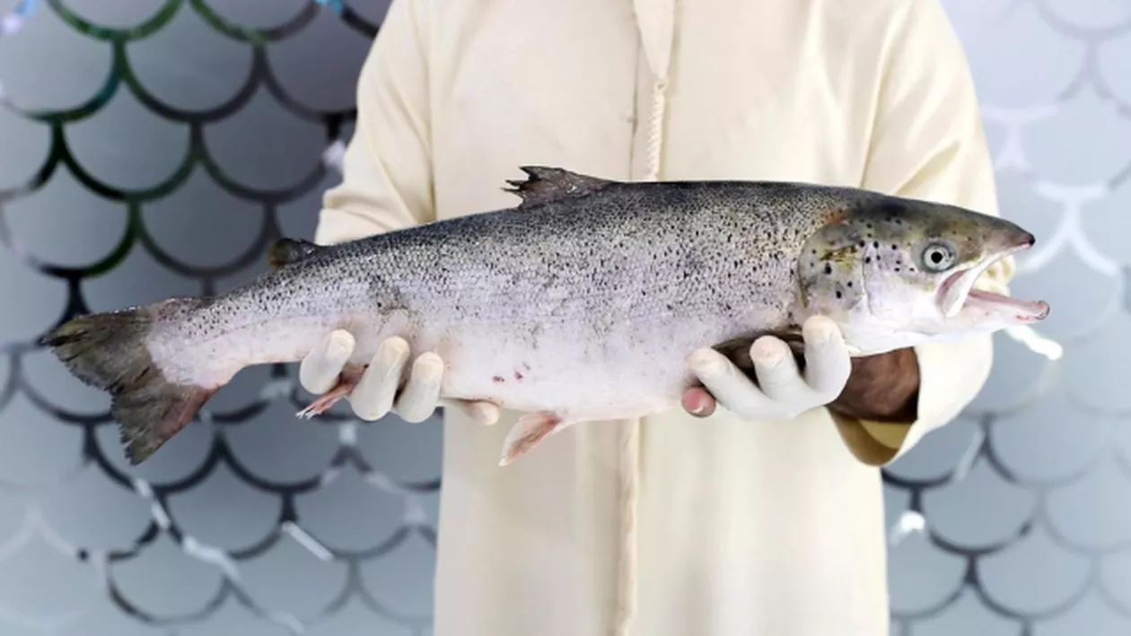 Încă un RECORD INCREDIBIL: Dubaiul a început să crească SOMONI ÎN DEȘERT! (GALERIE FOTO)