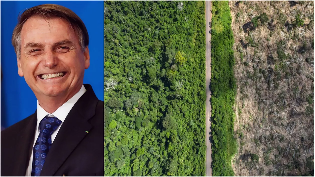 Preşedintele Braziliei, prins cu minciuna. Rata defrişării din jungla amazoniană a ajuns la un nivel record. Cât se taie într-un an