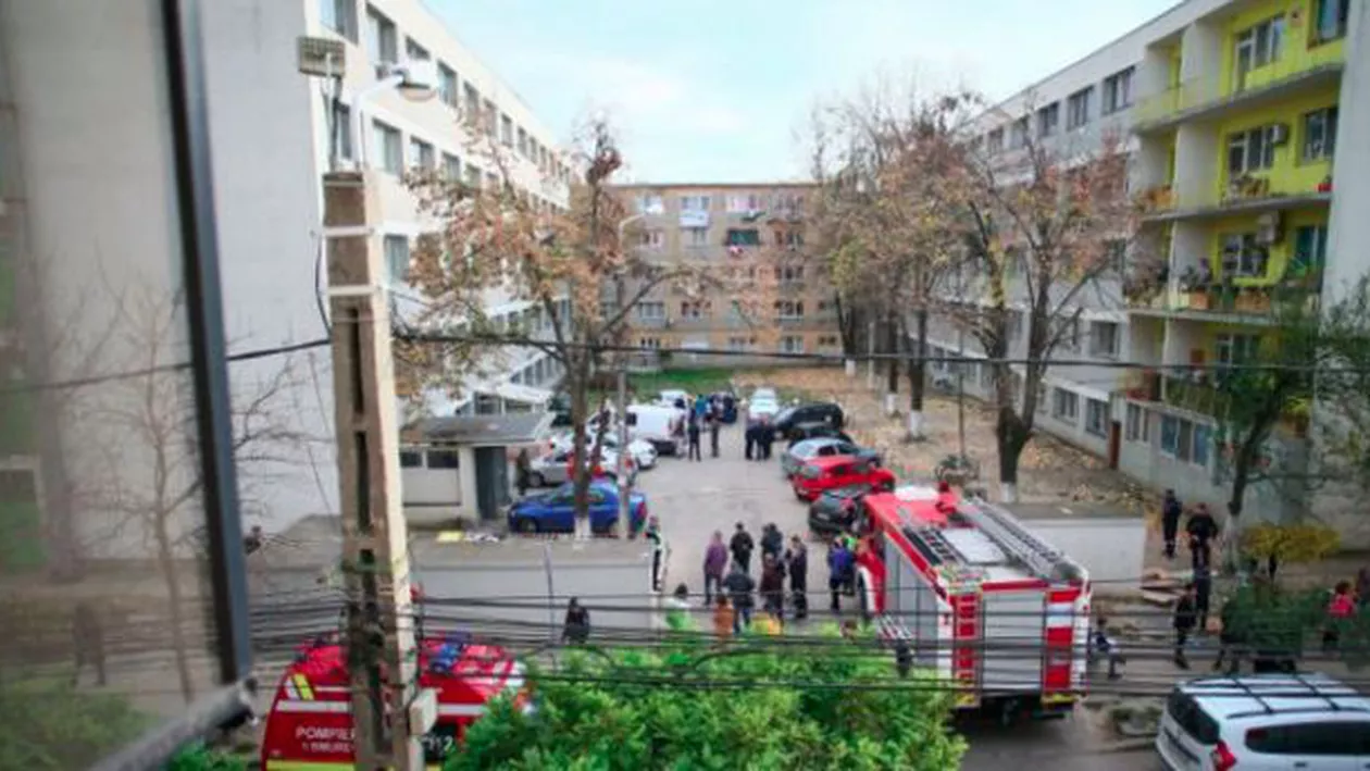 Deratizare în Timișoara: Un bloc a fost evacuat a doua oară, miercuri noapte