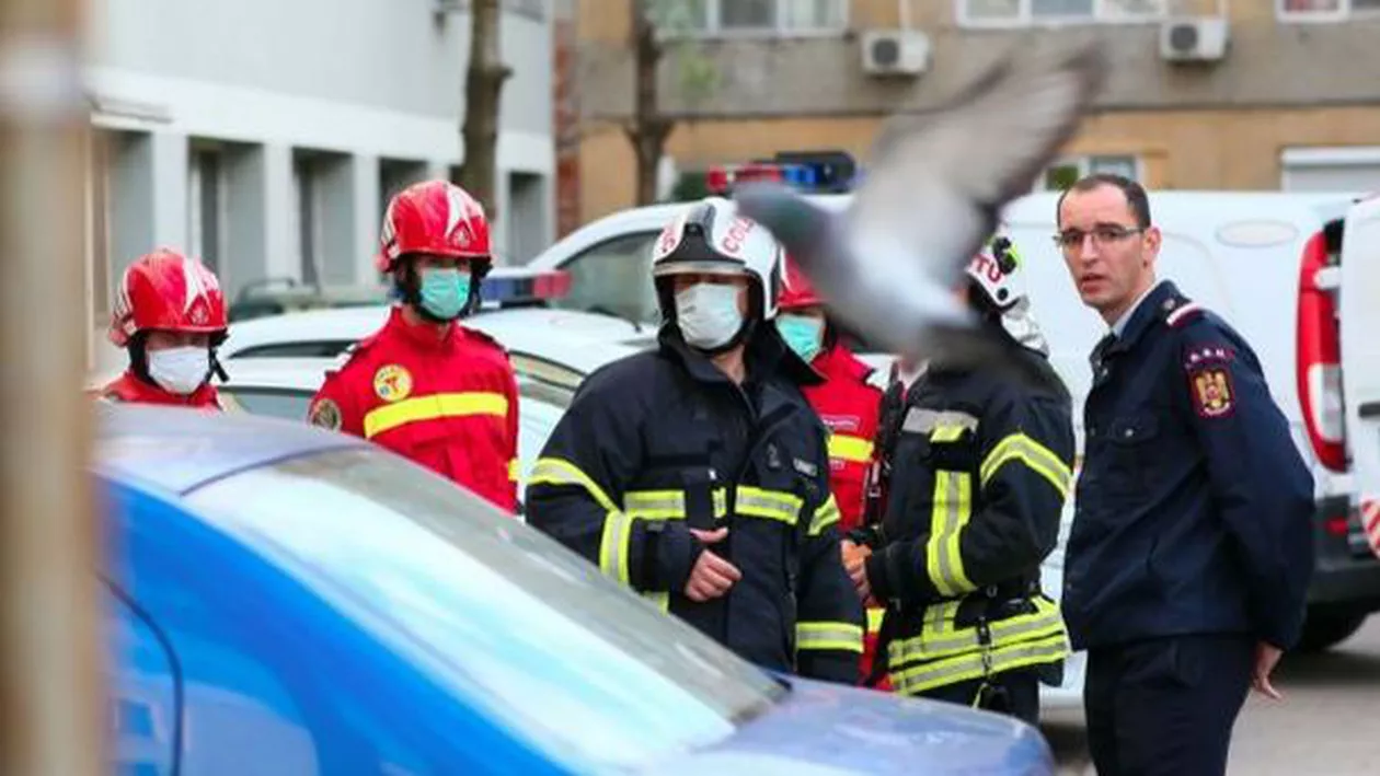 Deratizarea ucigașă din Timișoara nu a fost anunțată în prealabil, deși așa se întâmpla de obicei. Unul dintre locatarii blocului, în direct pe B1 TV: Administratorul e de negăsit (VIDEO)