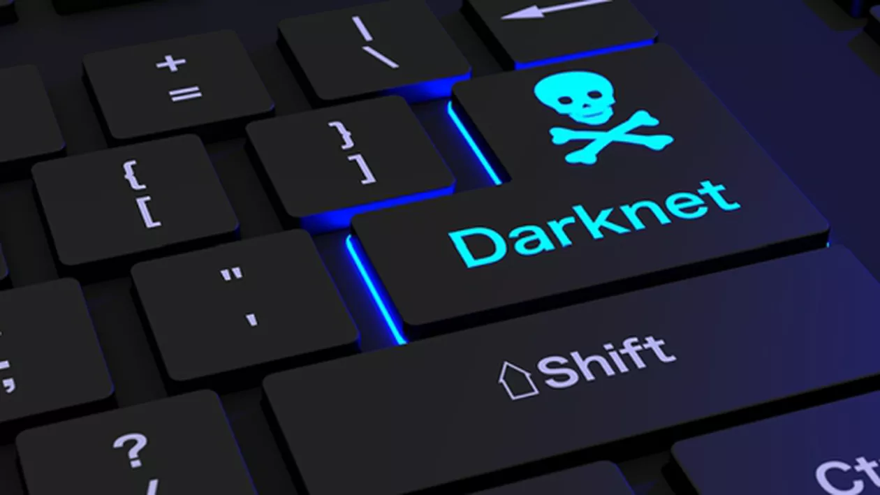 FĂRĂ PRECEDENT: Peste 30.000 de domenii de internet, ÎNCHISE de Europol pentru încălcarea proprietăţii intelectuale