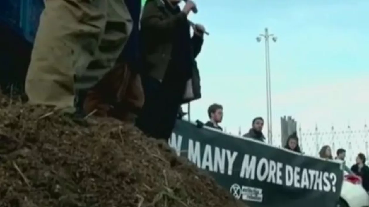 Protest cu bălegar la summitul ONU pentru climă de la Madrid (VIDEO)