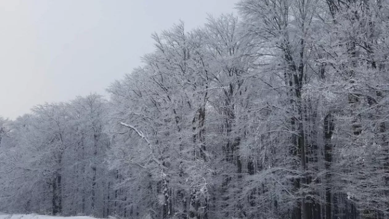 Informare ANM de ultimă oră: VREMEA se schimbă BRUSC! Capitala va fi cea mai afectată! Cum va fi de CRĂCIUN