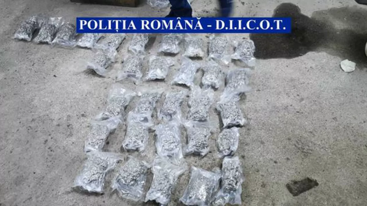 CAPTURĂ de droguri la granița cu Republica Moldova: Trei persoane, reținute după ce au încercat să scoată din țară 10 kilograme de cannabis 