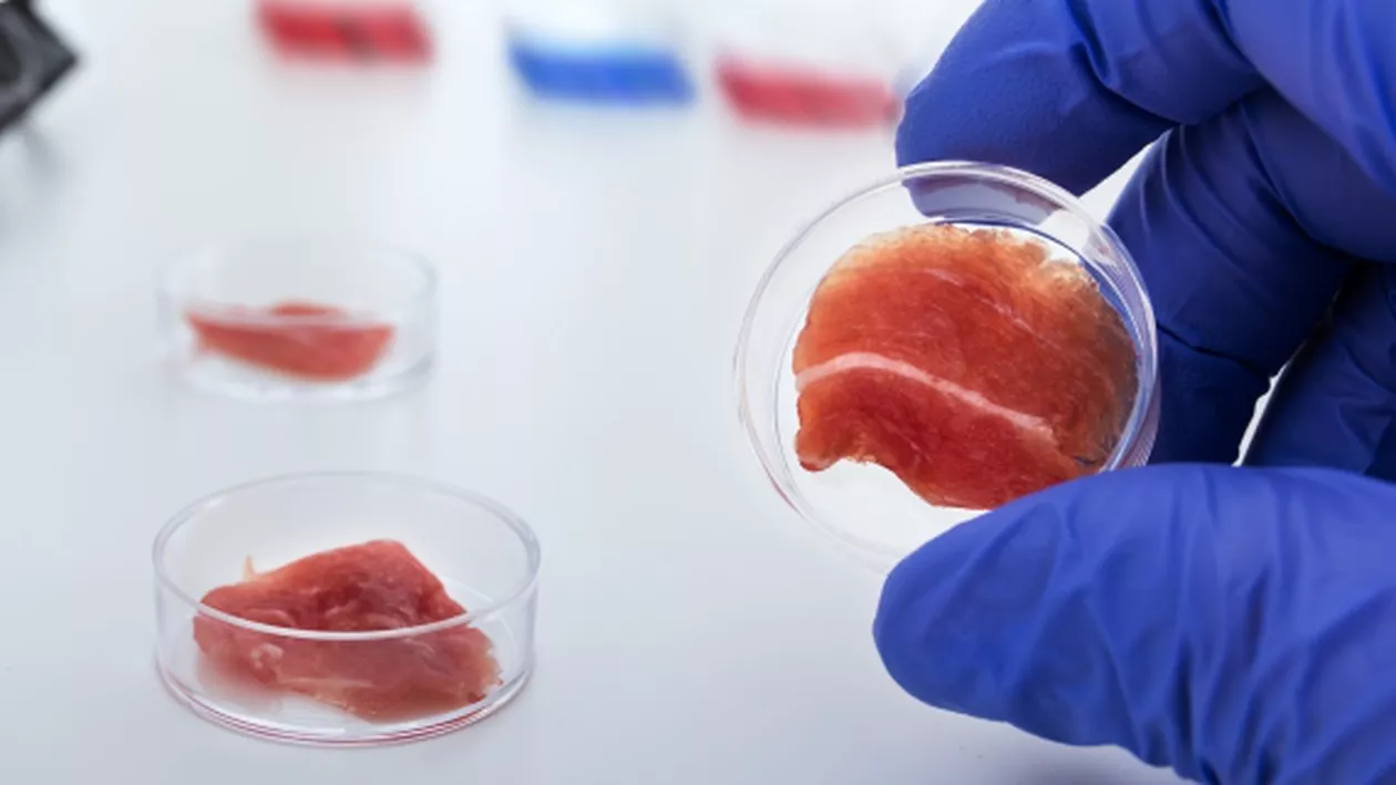 Carne de porc, CULTIVATĂ în laborator, în Olanda: 'Nu facem doar unul sau doi hamburgeri, vrem să schimbăm lumea'