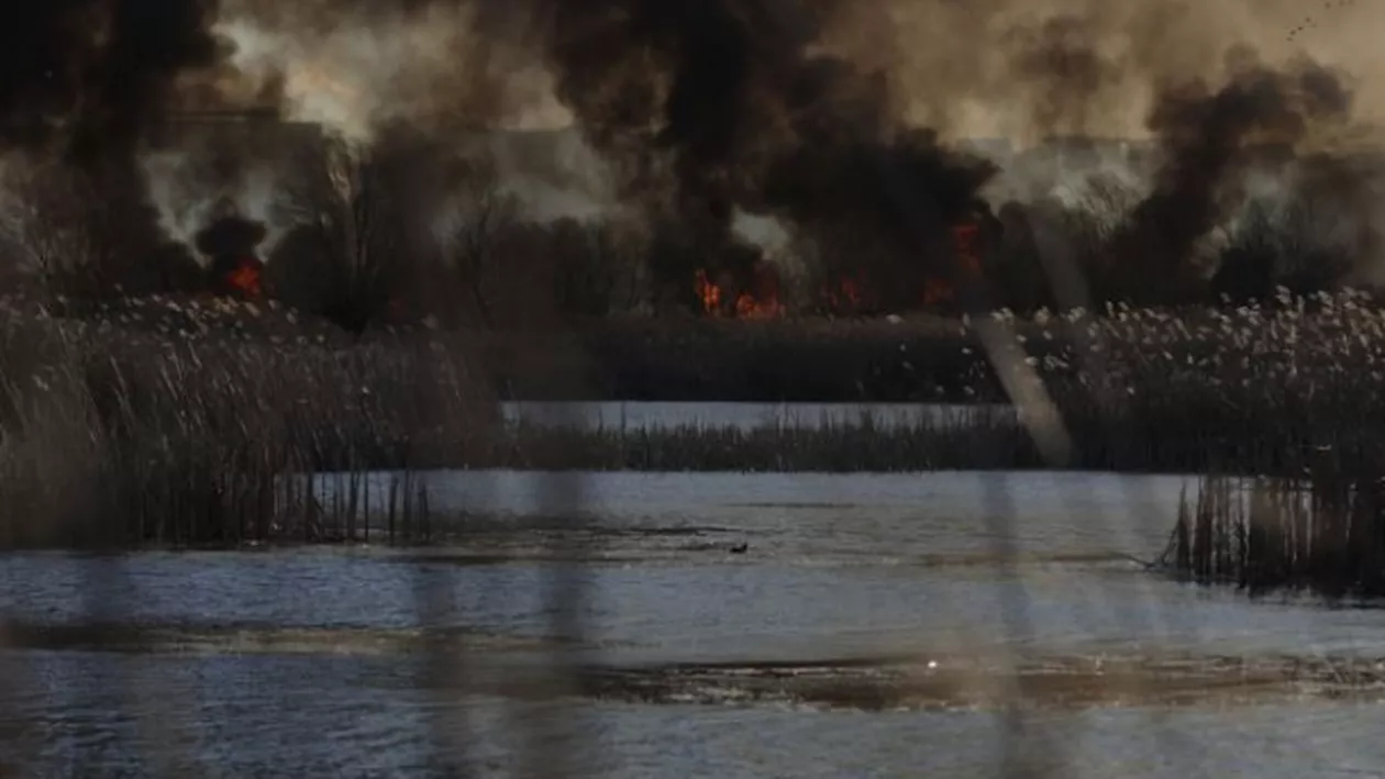 Al doilea INCENDIU, în decursul a nici 24 de ore, în Delta Văcărești din Capitală: Aproape 30% din parc a ars (FOTO)