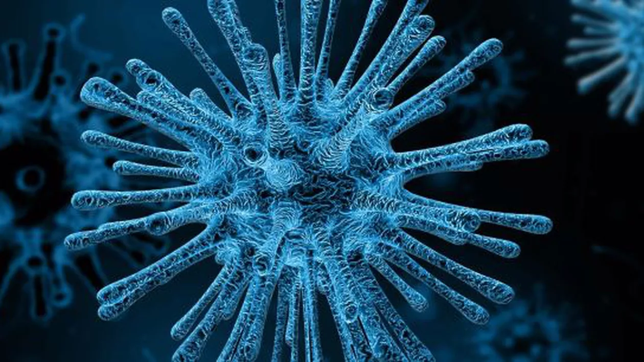 CORONAVIRUS | Casa Versace amână o prezentare de modă în SUA