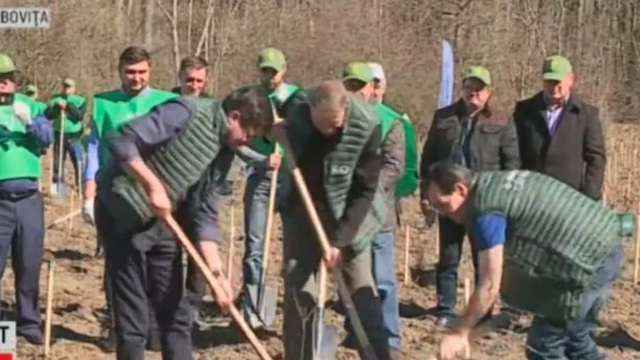 Președintele și Guvernul au lansat marea campanie națională de împădurire. Orban: „Să arătăm că și românul e frate cu codrul” / Iohannis: „Aurul verde al României trebuie protejat și înmulțit” (VIDEO)