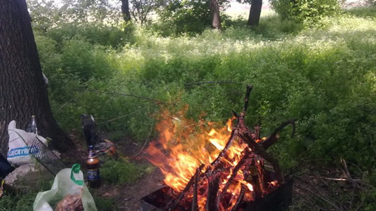 Dovadă de ignoranță ucigașă. Mai mulți tineri și-au petrecut duminica la un grătar, într-o pădure din Teleorman