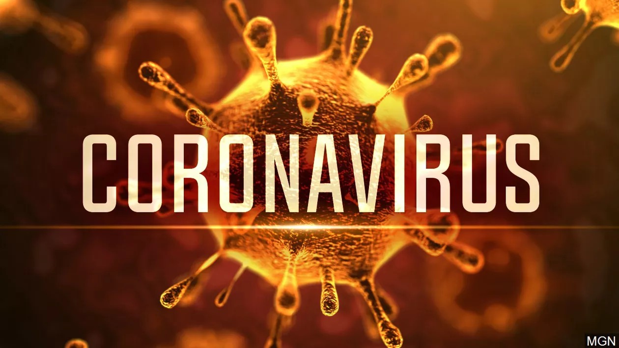 Totul despre coronavirus, noul virus care a blocat economia și a aruncat în carantină toată Europa