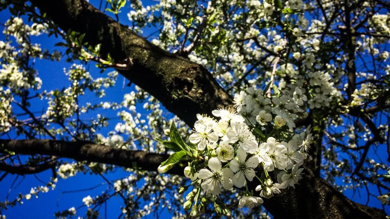 Cum va fi vremea în România în Noaptea de Înviere