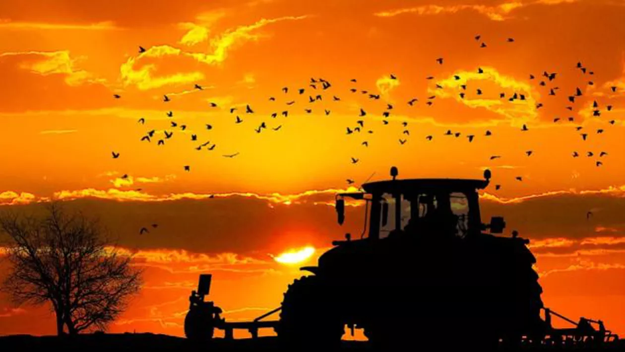 Competiția pentru muncitorii români devine tot mai acerbă. Italienii își fac griji că lucrătorii sezonieri preferă Germania şi Marea Britanie / Deficitul de forță de muncă, acutizat de epidemia de coronavirus